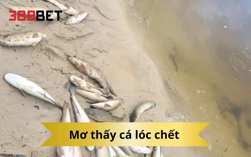 Mơ thấy cá lóc chết